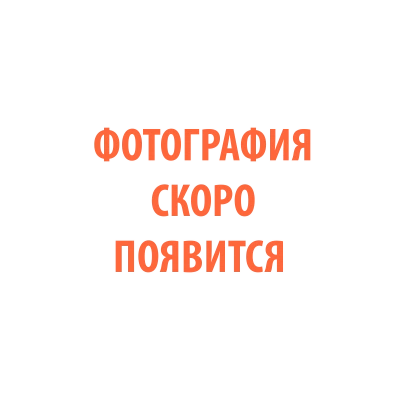 TECH C80d 00000099130 СВАРОГ TECH C80d 00000099130 СВАРОГ