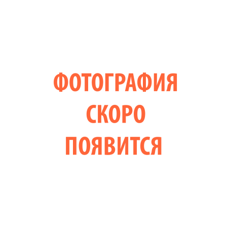 СВАРОГ TECH C80d (маски и средства защит, маски сварщика) 00000099130 СВАРОГ TECH C80d (маски и средства защит, маски сварщика) 00000099130